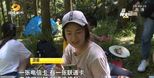 网红蔡二哥吃瓜视频在线观看,揭秘网红圈幕后故事  第3张