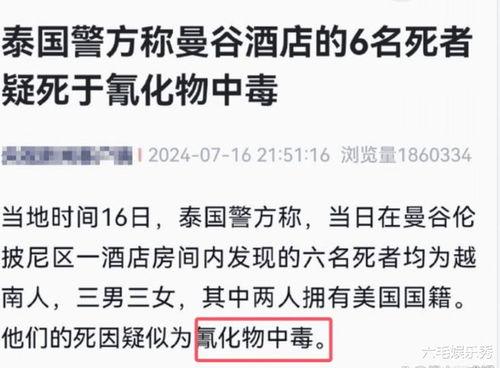 王海鑫最新爆料新闻事件,揭秘事件背后惊人真相 第3张 王海鑫最新爆料新闻事件,揭秘事件背后惊人真相 第3张